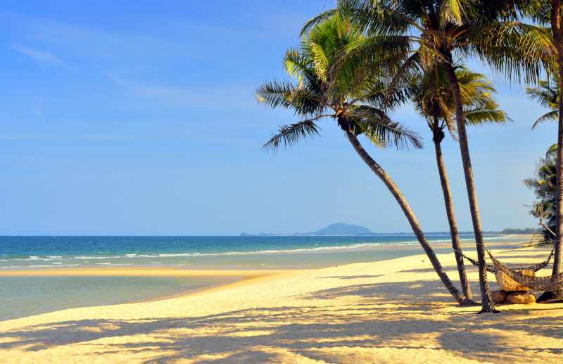 Mơ thấy cây dừa